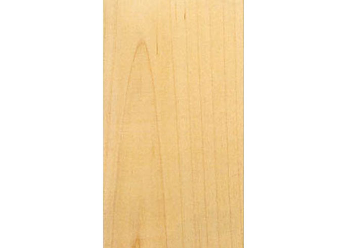 Veneer American Maple wood